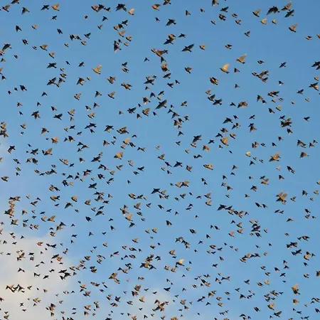 North Sea House Σπίτι διακοπών Schillig
